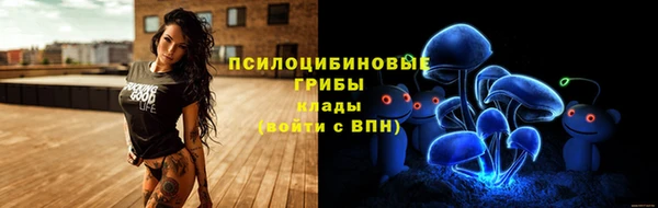 хмурый Козельск