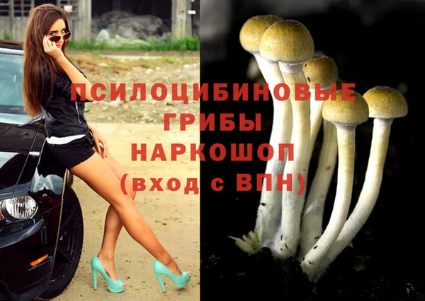 дурь Козловка