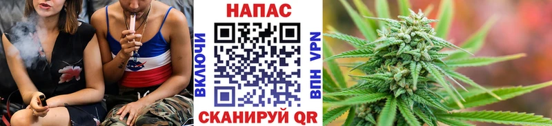 Шишки марихуана VHQ  Купить закладки  Уварово 